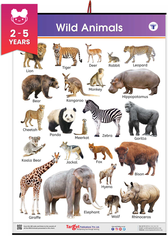 Target Publications Jumbo Wild Animals Chart for Kids | Learn about Jungle or Forest Animals at Home or School with Educational Wall Chart for Children | ( x Inch) Price in Target Publications Jumbo Wild Animals Chart for Kids | Learn about Jungle or Forest Animals at Home or School with Educational Wall Chart for Children | ( x Inch) Price in