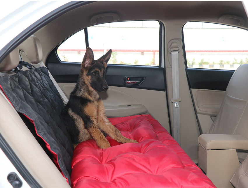 Learn about 121+ imagen dog bed car seat In.thptnganamst.edu.vn