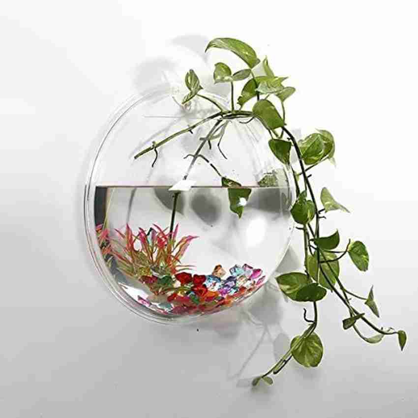 PREMIER PLANTS 12 Inch Concave View Aquarium Tank, 42 OFF