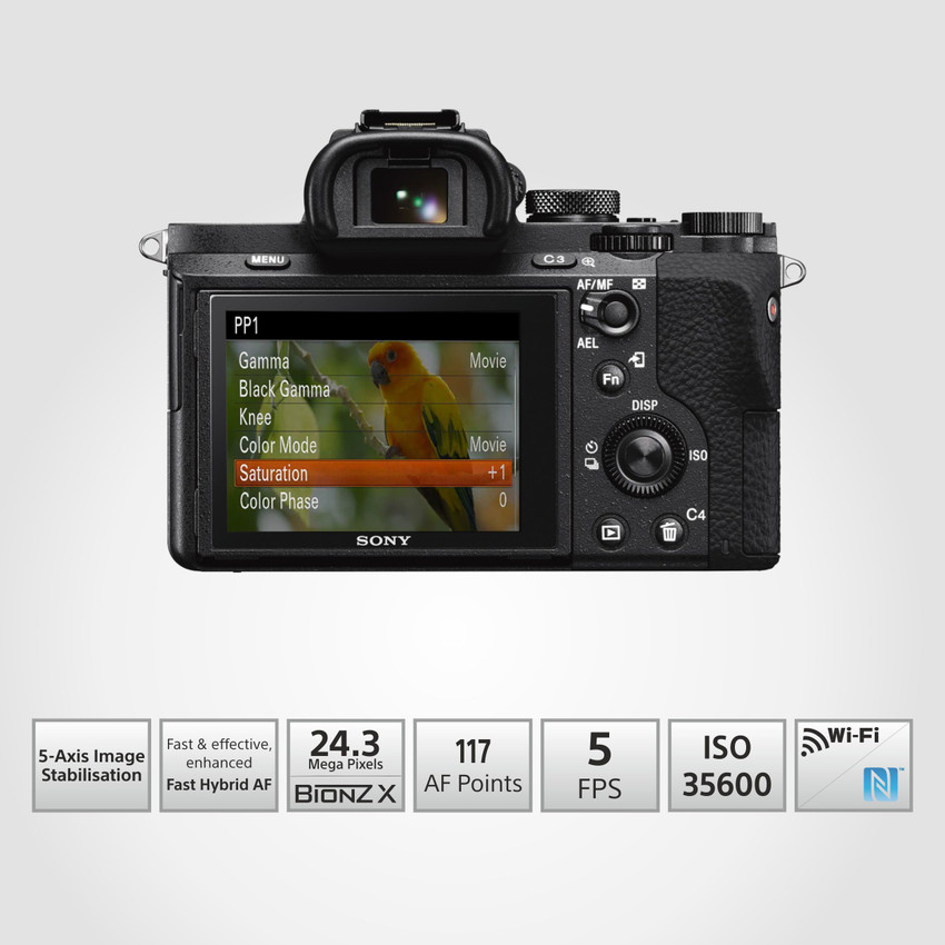 sony alpha a7 mark 2