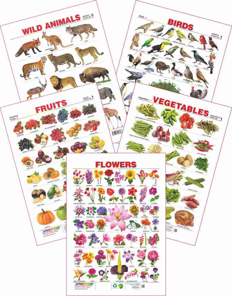 Spectrum Set of 5 Educational Wall Charts (Wild Animals, Birds, Assorted  Fruits 1, Vegetables 1 & Flowers) Price in India - Buy Spectrum Set of 5  Educational Wall Charts (Wild Animals, Birds,