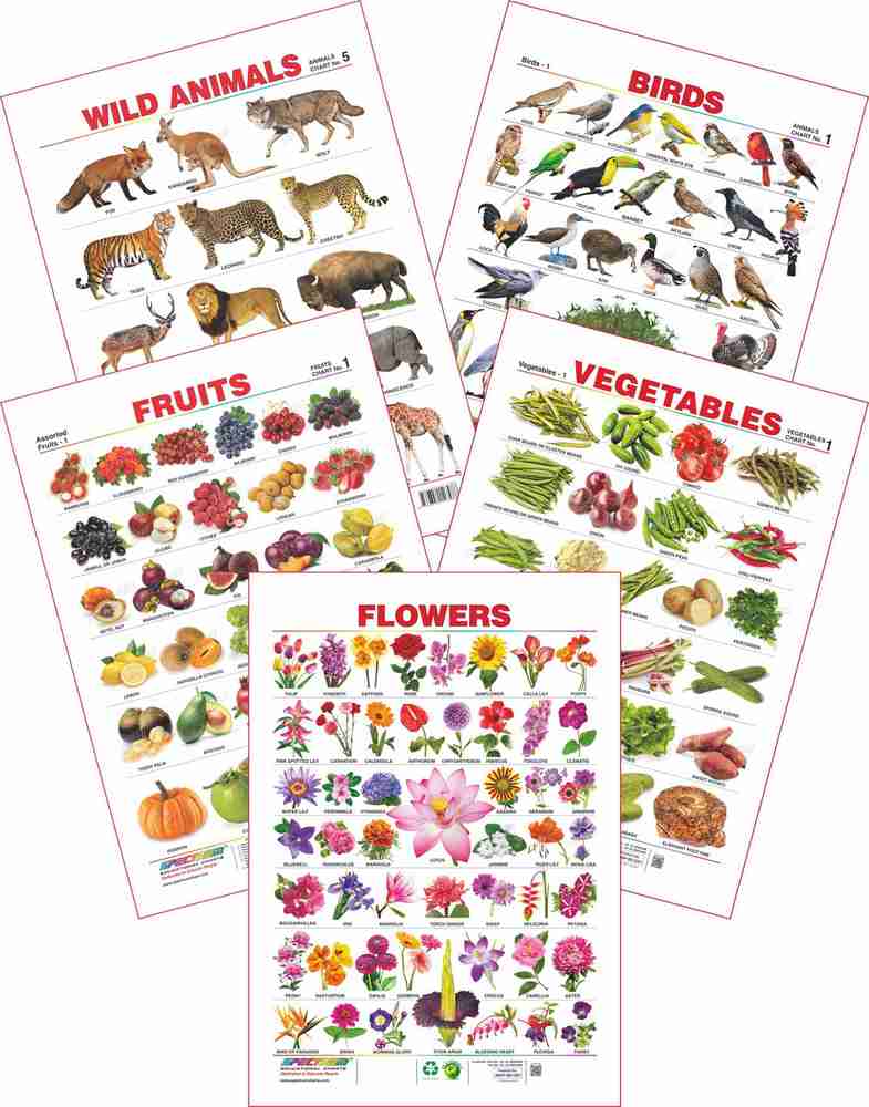 Spectrum Set of 5 Educational Wall Charts (Wild Animals, Birds, Assorted Fruits 1, Vegetables 1 & Flowers) Price in India - Buy Spectrum Set of 5 Educational Wall Charts (Wild Animals, Birds, Spectrum Set of 5 Educational Wall Charts (Wild Animals, Birds, Assorted Fruits 1, Vegetables 1 & Flowers) Price in India - Buy Spectrum Set of 5 Educational Wall Charts (Wild Animals, Birds,