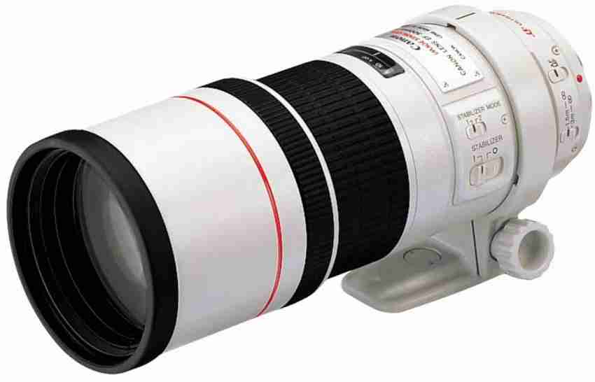 Canon EF 300 mm f/4L IS USM Telephoto Zoom Lens Canon