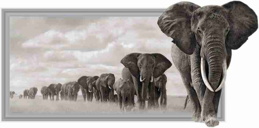 Impression Wall Elephant Poster (without Frame) Paper Print - Animals  posters in India - Buy art, film, design, movie, music, nature and  educational paintings/wallpapers at