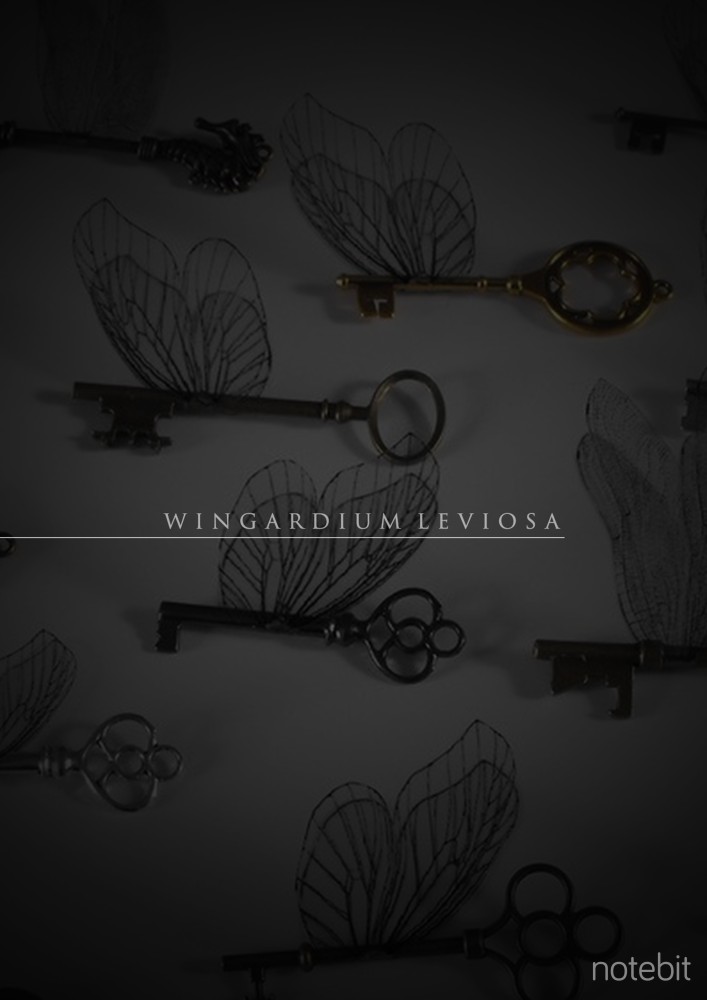 Harry Potter Wingardium Leviosa