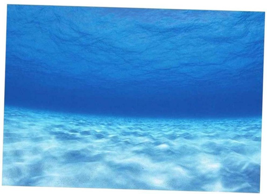 newartcolorz.com | Underwater wallpaper, Aquarium live wallpaper, Fish  wallpaper