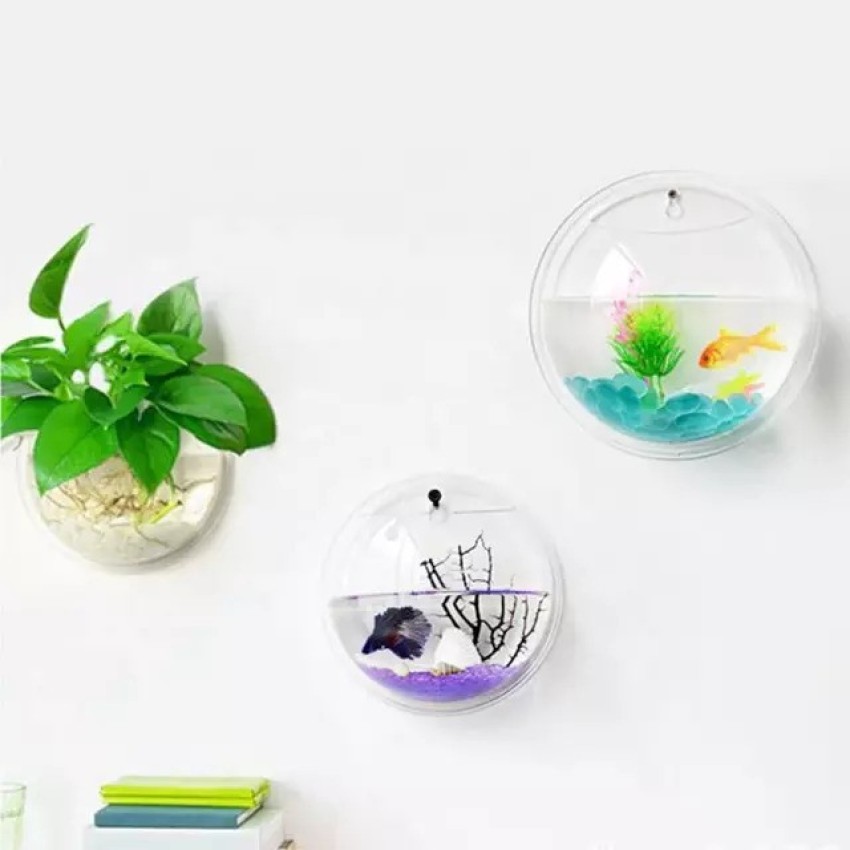 Twins Twins Wall Hanging Fish Bowl Wall Mounted Plant Pot For Fish & Plant  Wall Decor Round Ends Aquarium Tank Price In India - Buy Twins Twins Wall  Hanging Fish Bowl Wall