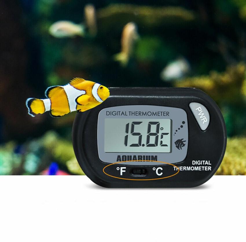 https://rukminim1.flixcart.com/image/850/1000/xif0q/aquarium-tools/h/d/r/black-digital-lcd-thermometer-for-aquarium-fish-tank-vivarium-original-imagm8zzfnzmchgj.jpeg?q=90