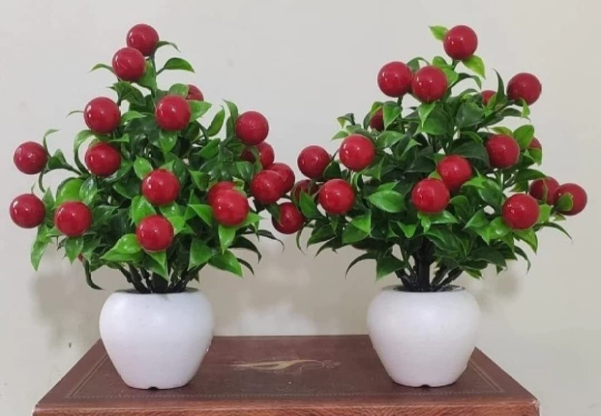 fake cherry 33s
