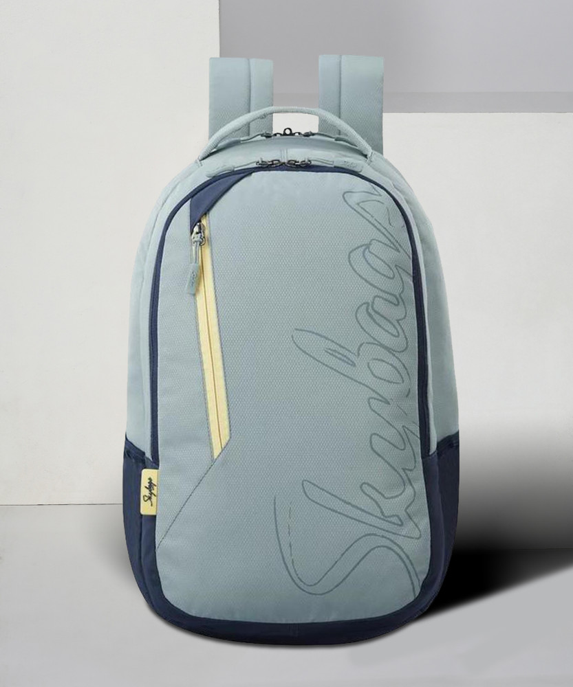 Discover more than 166 skybags travel bags flipkart esthdonghoadian