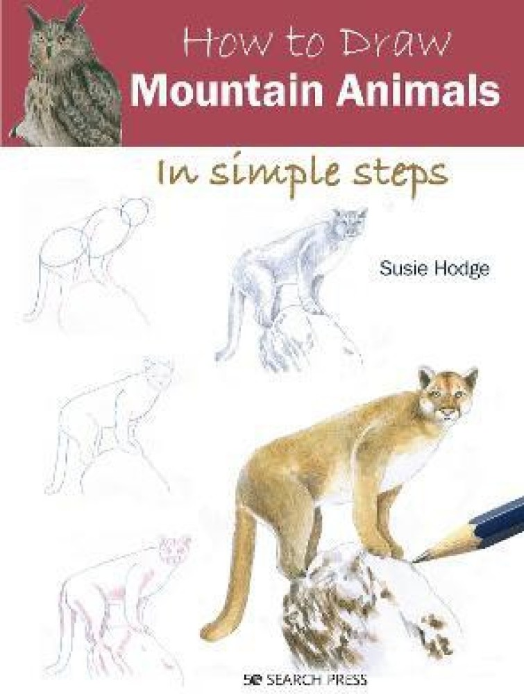 How to Draw: Mountain Animals: Buy How to Draw: Mountain Animals by Hodge  Susie at Low Price in India 
