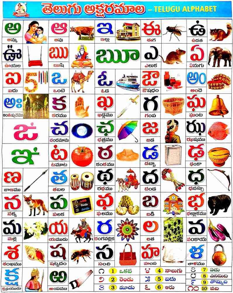 Telugu Alphabets for Kids - Telugu Aksharamala wall Chart for Kids ...