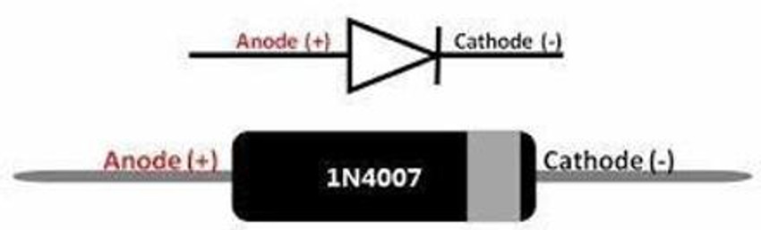 1N4006 Diode: Pinout, Datasheet, And 1N4006 Vs 1N4007
