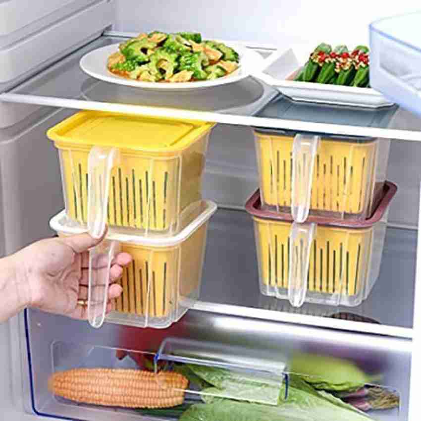 https://rukminim1.flixcart.com/image/850/1000/xif0q/fruit-vegetable-basket/x/n/0/food-storage-container-with-removable-drain-plate-and-lid-fridge-original-imagjy6swhahfaqq.jpeg?q=20