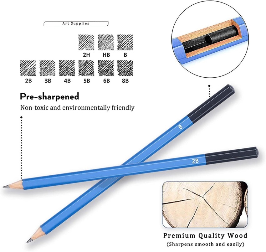 29-Piece Sketch Drawing Pencil Set Sketching Art Kit in Carry Case Pro New