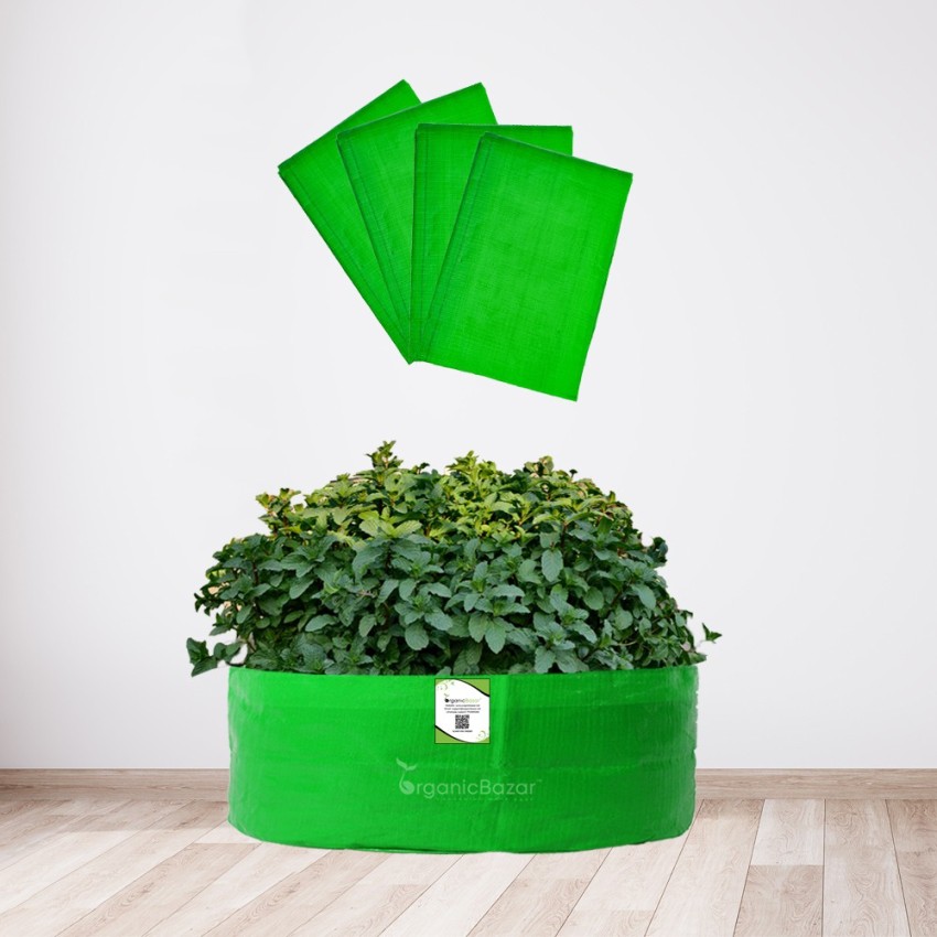 Buy lightweight HDPE round green grow bags online