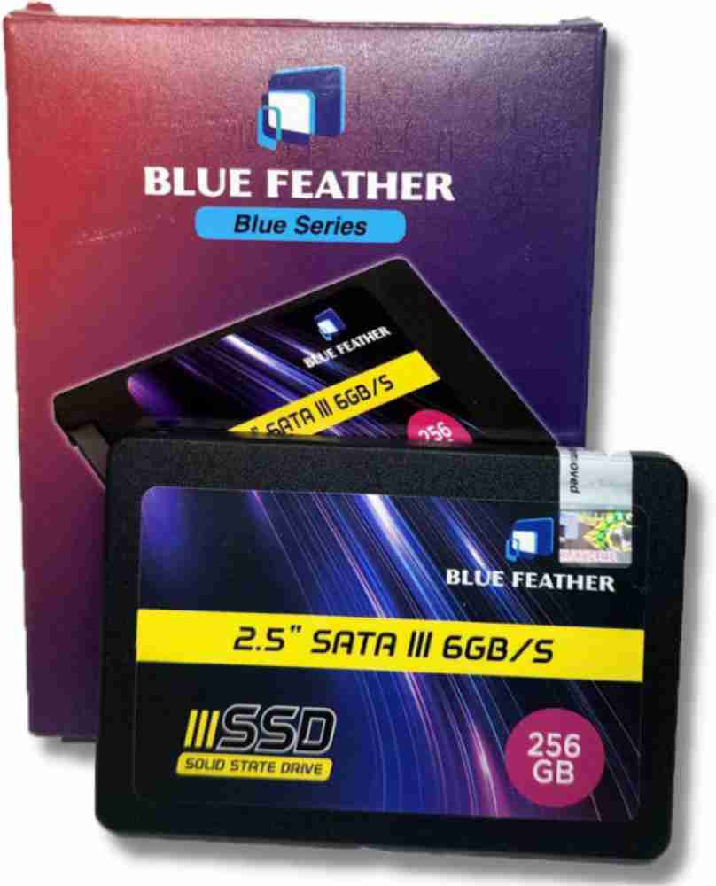Blue Feather Blue 256 GB Surveillance Systems Solid Drive (256GBSSD) - Blue Feather : Flipkart.com