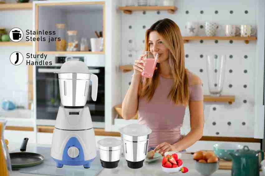 Buy JAIA Viva Premium Mixer Grinder 600 Watt Stainless Steel 3