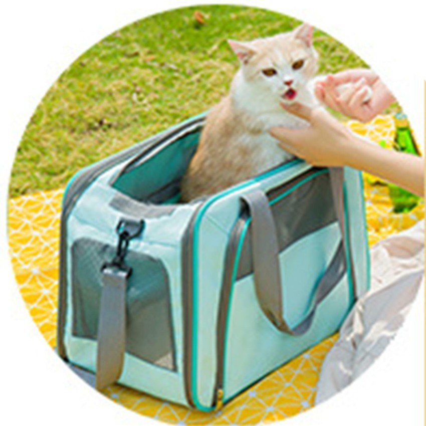 Carrier Bag For Pets  Buy Online At Best Price  All4pets