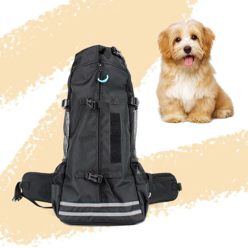Top more than 157 dog carrier bag for hiking best xkldase.edu.vn