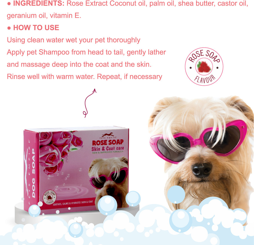 Pets Empire Pet Toothpaste - Buy Pets Empire Pet Toothpaste Online at Best  Prices In India