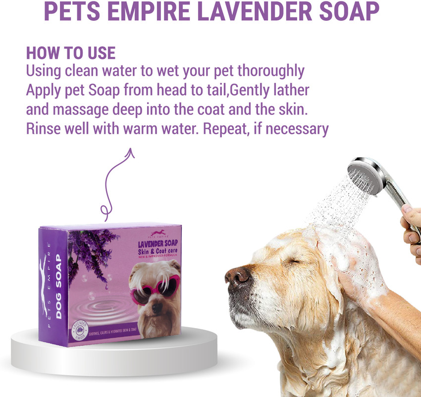 Pets Empire Pet Toothpaste - Buy Pets Empire Pet Toothpaste Online at Best  Prices In India