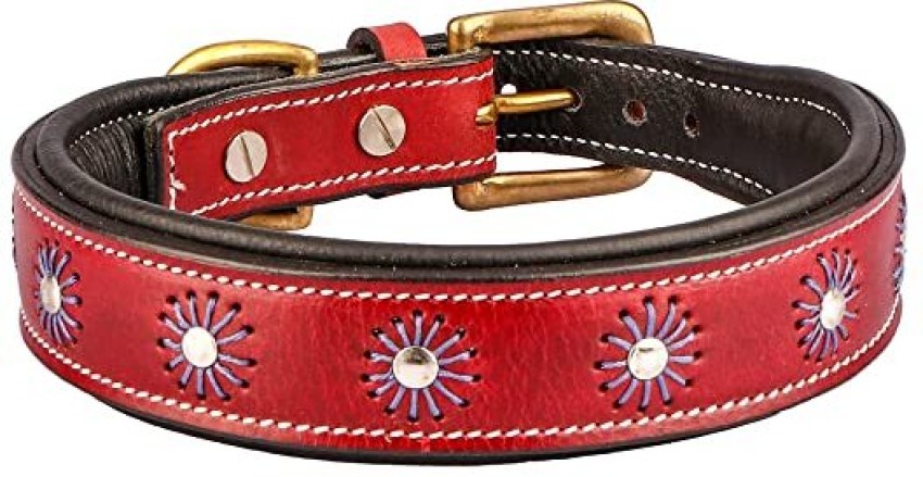 Diamond Packers Cat Collar With Bell,Kitten & Small  Adjustable,Solid,Breakaway For Cats & Puppy Dog & Cat Break Away Collar  Price in India - Buy Diamond Packers Cat Collar With Bell,Kitten & Small