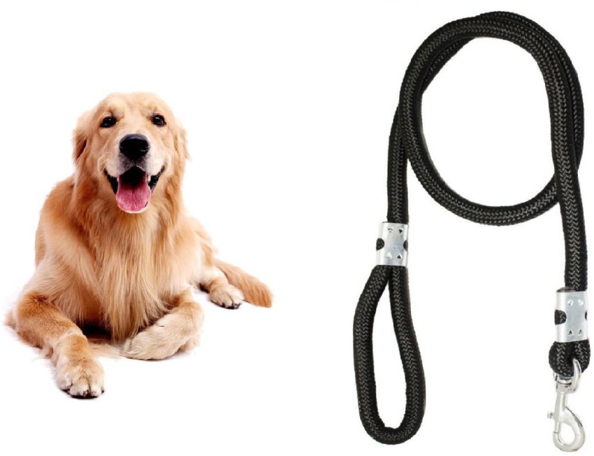 Dog leash deals harness combo