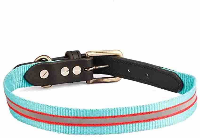 Odour proof silicone dog collar – BeOneBreed