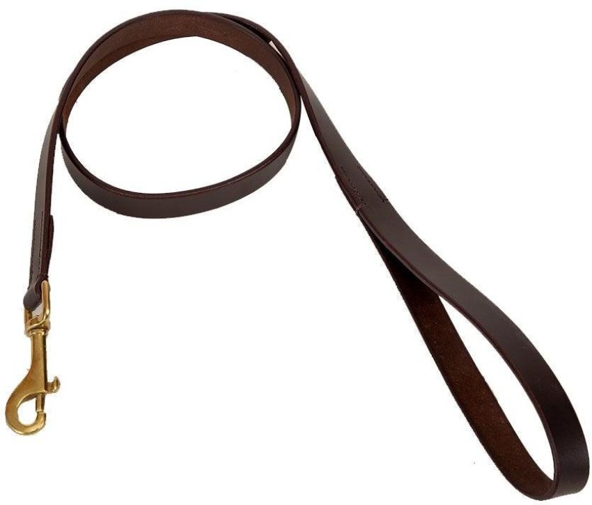 BLESSING PET PRODUCT Blessing Leather leash with brass hook 6 feet length  305 cm Dog Cord Leash Price in India - Buy BLESSING PET PRODUCT Blessing Leather  leash with brass hook 6