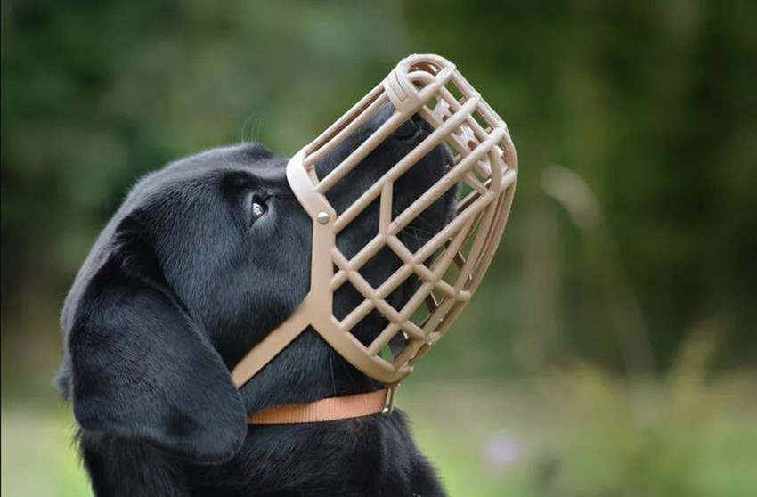 Happy Home s Care Adjustable Plastic Large Dog Muzzle Mouth Cover