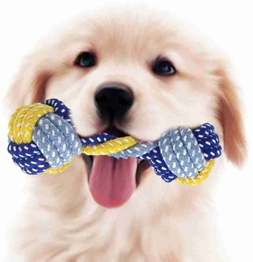Newest Smart Pet Bite Toys Set Squeaky Interactive Dog Chew Toys Dog Chew  Ball For Dogs Aggressive Chewers