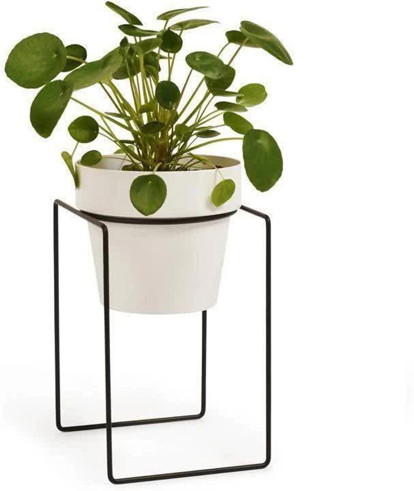 GREENDECORS Iron Plant Stand, Pot Stand, Gamla Stand, Indoor ...