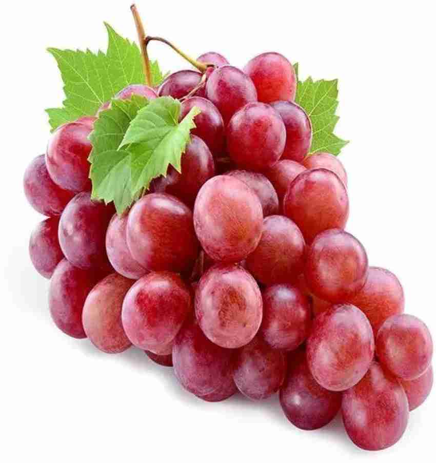 https://rukminim1.flixcart.com/image/850/1000/xif0q/plant-seed/g/c/i/50-gpr-10-super-sweet-red-grape-red-50seeds-pascle-original-imagjamum4xvsnfe.jpeg?q=20