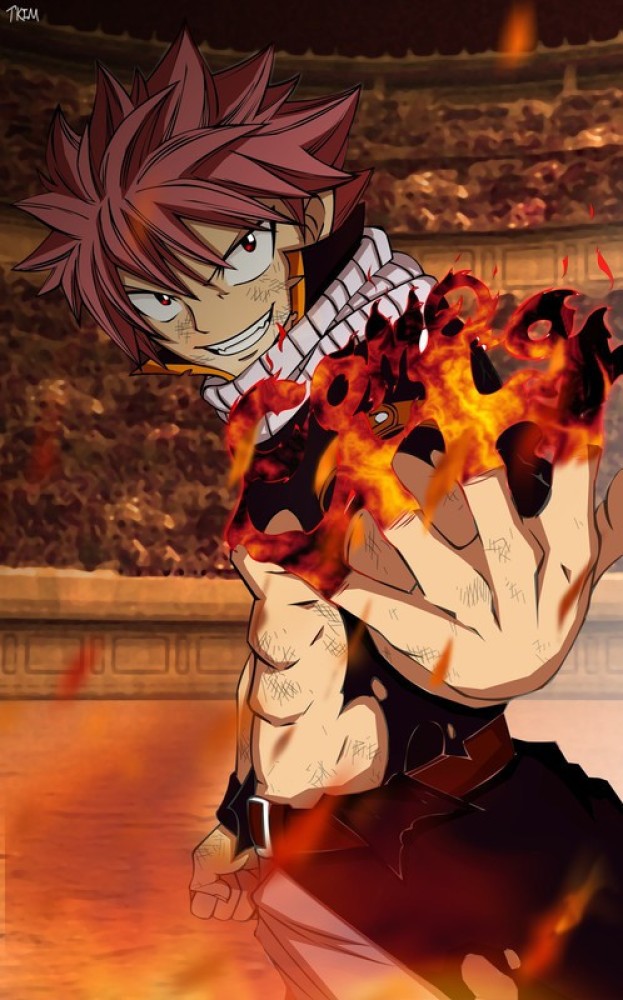 Did Fairy Tails Finale Confirm The Natsu  Lucys Ship