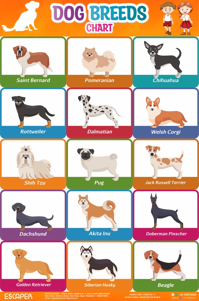 Dog Breed Chart