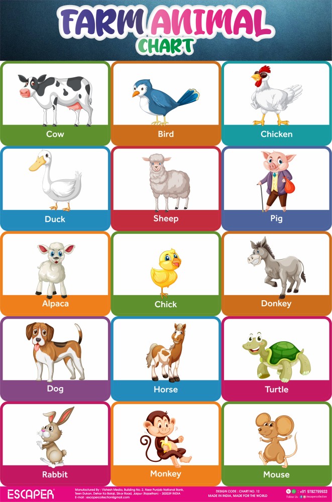 Domestic Animals Chart For Kids With Pictures