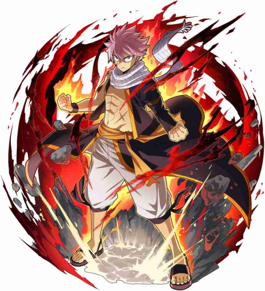 Fairy Tail Anime Series Hd Matte Finish Poster Paper Print - Animation &  Cartoons posters in India - Buy art, film, design, movie, music, nature and  educational paintings/wallpapers at