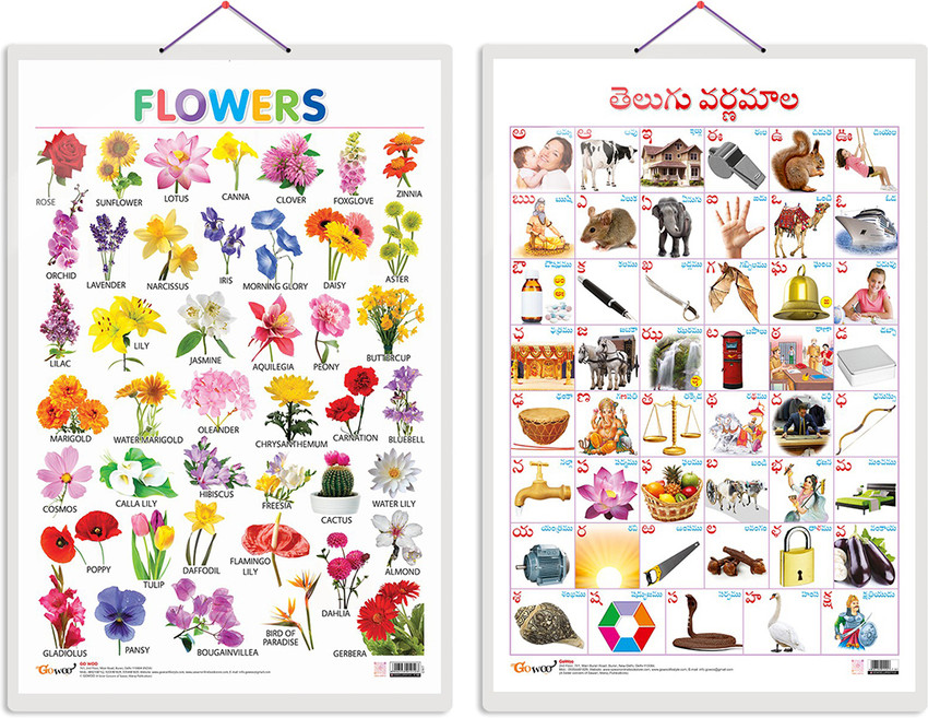 All Flowers Names In English To Telugu With Pictures Best Flower Site