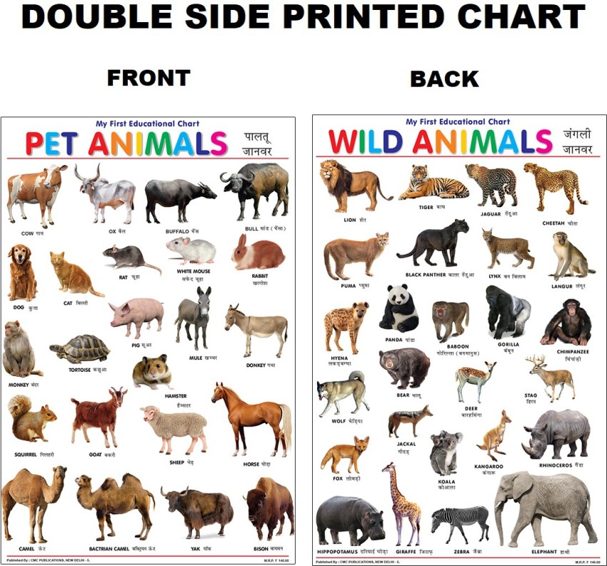 CHARTS WILD ANIMALS, NA