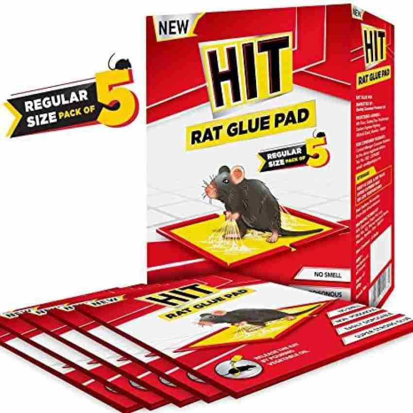 Humane Rat Catcher Traps Sticky Pads Pest Control Mouse Glue Trap - China  Mouse Glue Trap and Mouse Glue Board Trap price