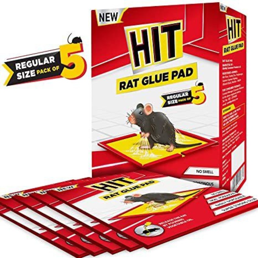 Humane Rat Catcher Traps Sticky Pads Pest Control Mouse Glue Trap - China Mouse  Glue Trap and Mouse Glue Board Trap price