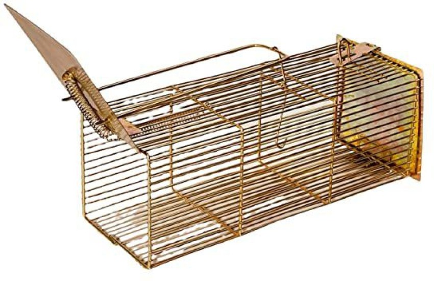 MITHO Mouse Trapper, Rat Catcher, Rat Cage Trap, Big Rat Live Trap Price in  India - Buy MITHO Mouse Trapper, Rat Catcher, Rat Cage Trap, Big Rat Live  Trap online at