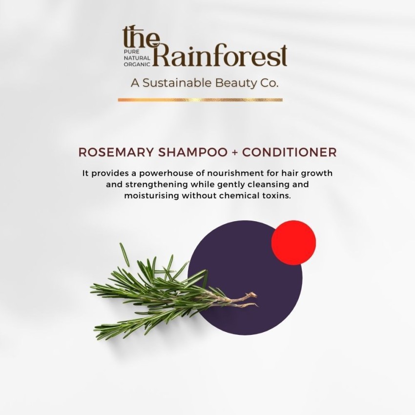 How to Use Rosemary Oil for Hair Growth According to Expert Derms