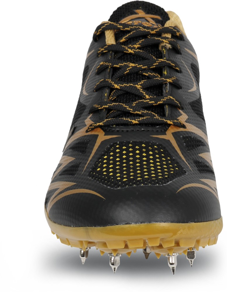 Gold black color combination american football Vector Image