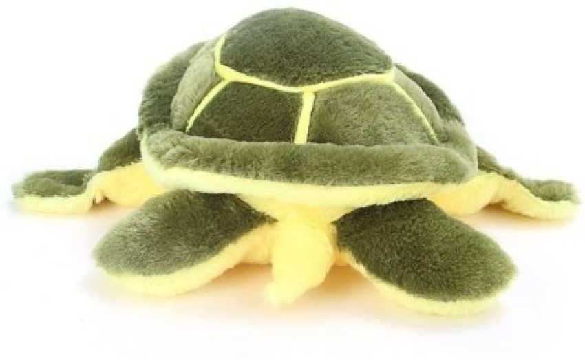 tortoise teddy