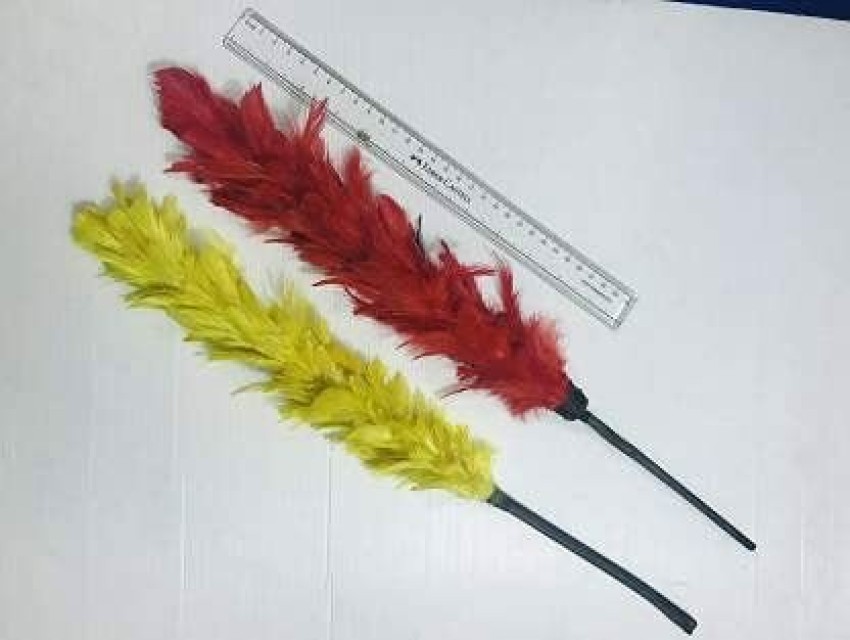 https://rukminim1.flixcart.com/image/850/1000/xif0q/toy-magic-kit/i/s/e/1-jumbo-color-changing-feather-f-duster-multicolor-a-sarkar-original-imagmfsczkj9qc47.jpeg?q=90