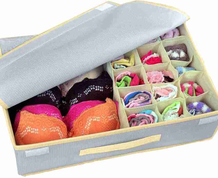 RooCraft Non-Woven Foldable Lingerie Storage Organizer With Lid Innerwear  Wardrobe Closet Grey - Price in India