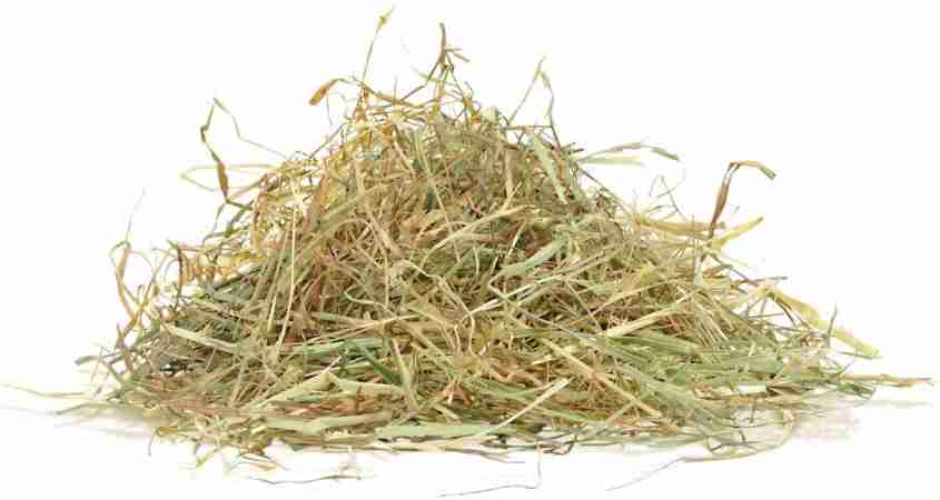 Little one Mountain Meadow Hay Not Pressed Pack of 1 x 1kg Guinea Pig Treat  Price in India - Buy Little one Mountain Meadow Hay Not Pressed Pack of 1 x  1kg