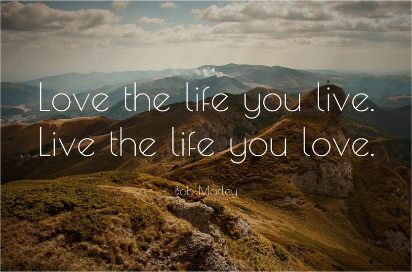 Live The Life You Love Motivational Quote Poster Paper Print Quotes Motivation Posters In India Buy Art Film Design Movie Music Nature And Educational Paintings Wallpapers At Shopsy In